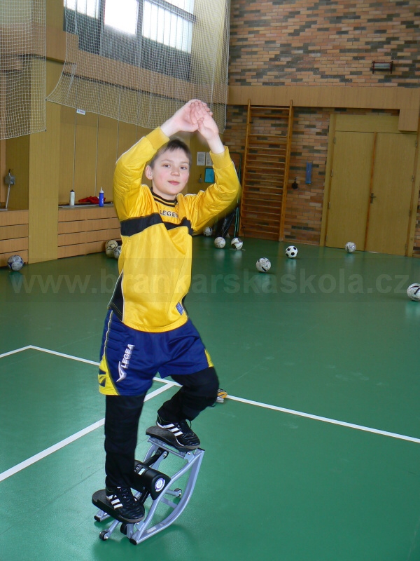 Soustedn Nymburk 2010 - 30.1.2010