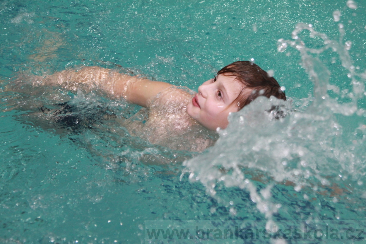 BFŠJCH - Zima 2019 - Pátek