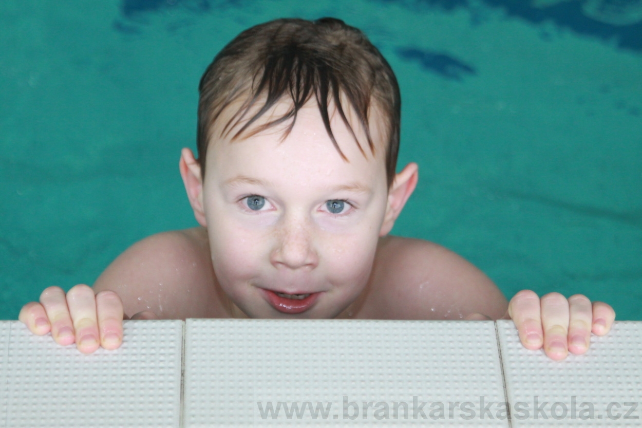 BFŠJCH - Zima 2019 - Pátek