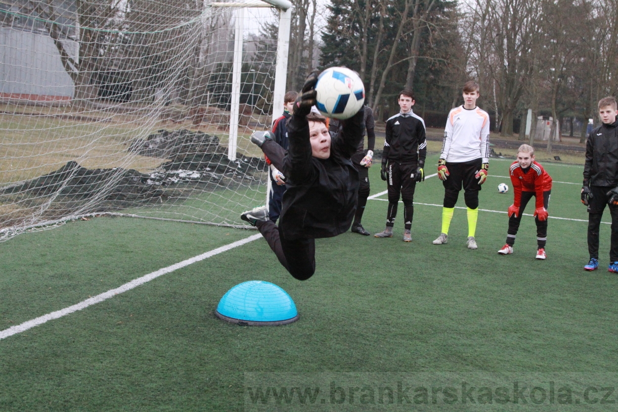 BFŠJCH - Zima 2019 - Sobota