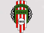 Logo Viktoria �i�kov