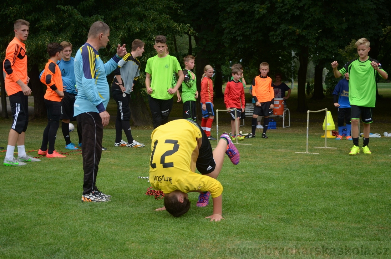 BFŠJCH - Léto 2015 - 17.7.2015