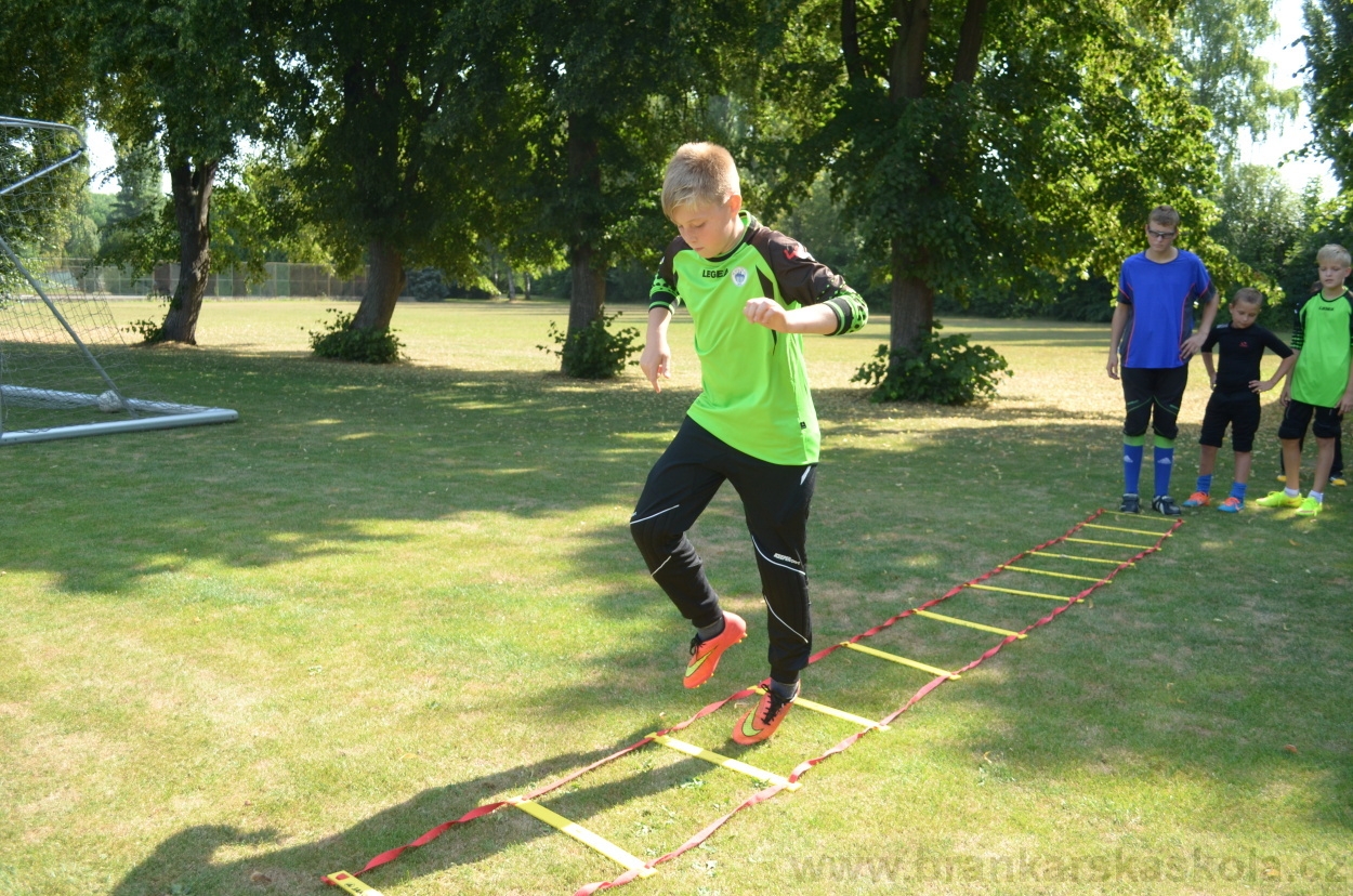 BFŠJCH - Léto 2015 - 18.7.2015