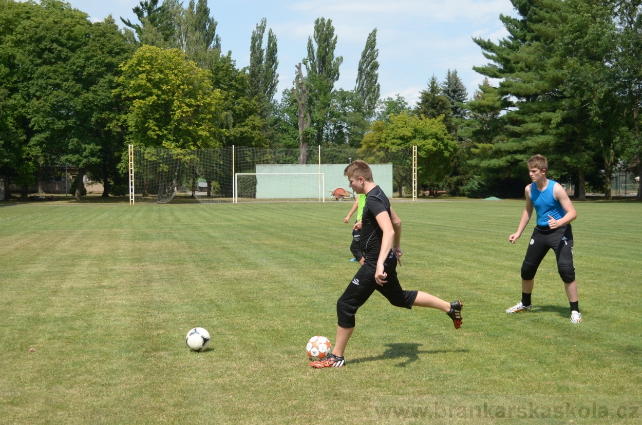 BFŠJCH - Léto 2015 - 18.7.2015