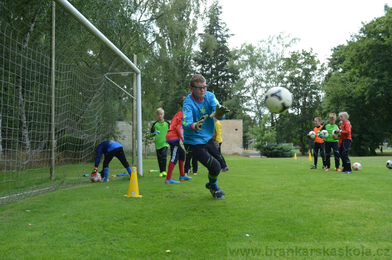 BFŠJCH - Léto 2015 - 18.7.2015