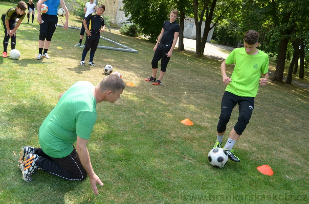 BFŠJCH - Léto 2015 - 18.7.2015