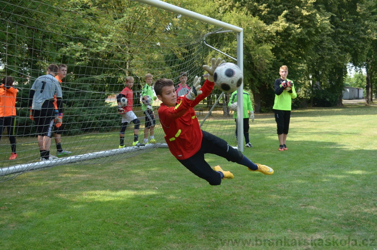 BFŠJCH - Léto 2015 - 18.7.2015