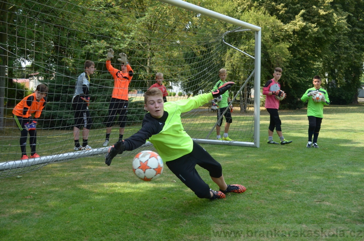 BFŠJCH - Léto 2015 - 18.7.2015