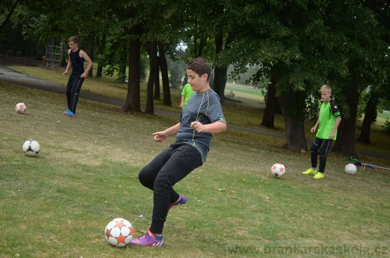 BFŠJCH - Léto 2015 - 19.7.2015