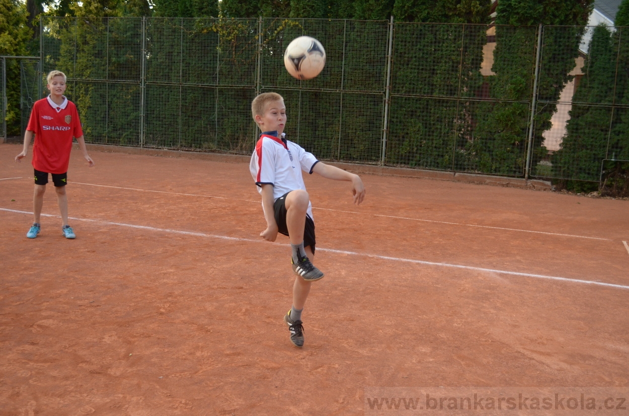 BFŠJCH - Léto 2015 - 19.7.2015