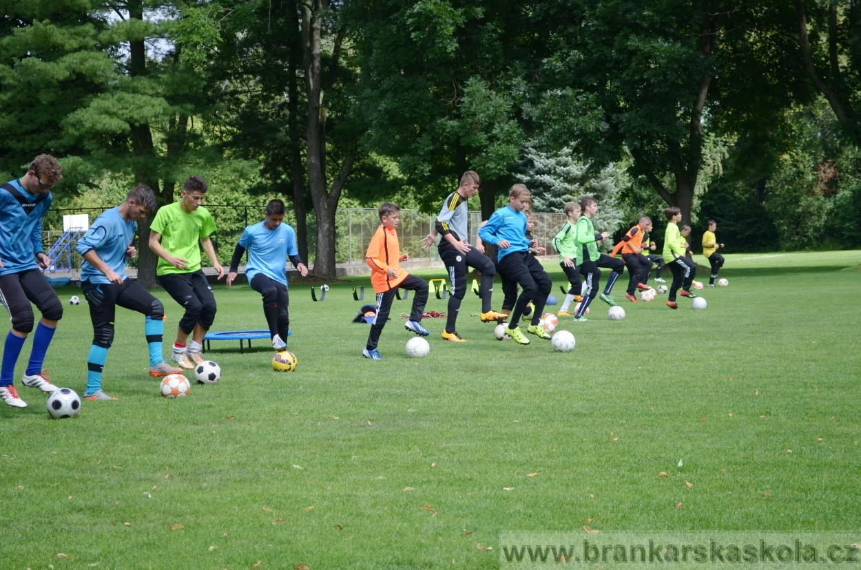 BFŠJCH - Léto 2016 - 29.7.2016