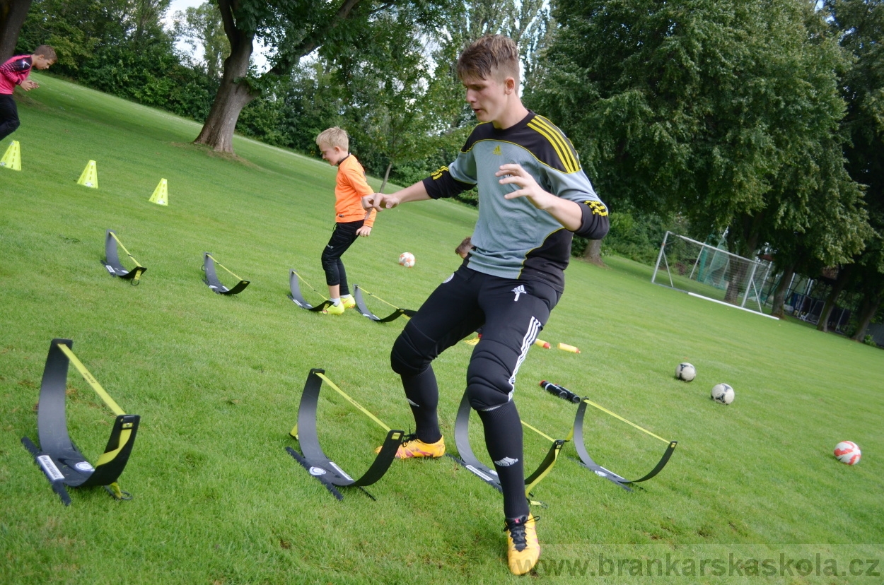 BFŠJCH - Léto 2016 - 29.7.2016