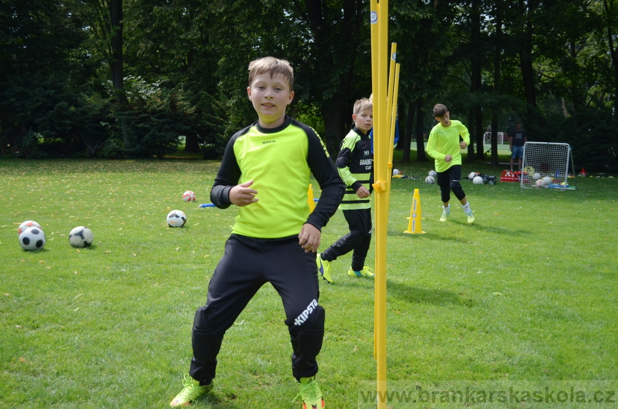 BFŠJCH - Léto 2016 - 29.7.2016