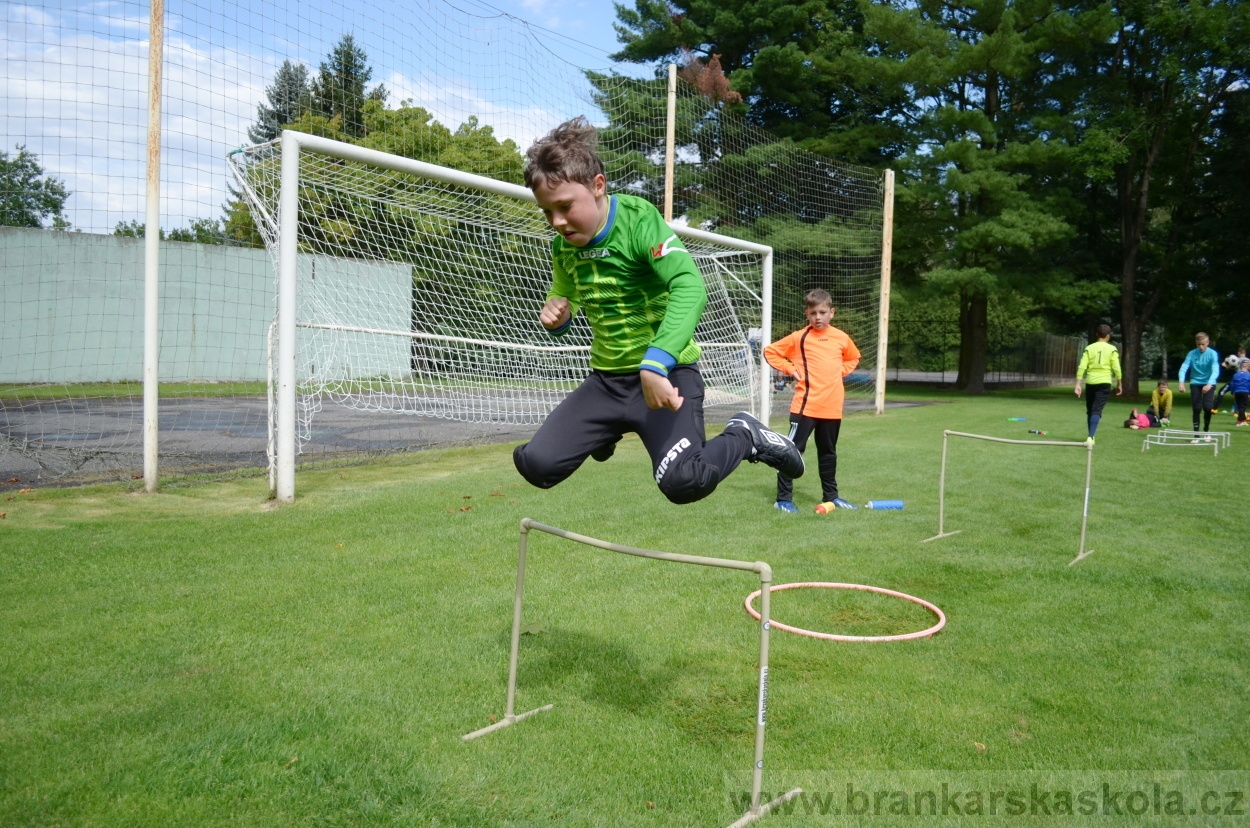 BFŠJCH - Léto 2016 - 29.7.2016