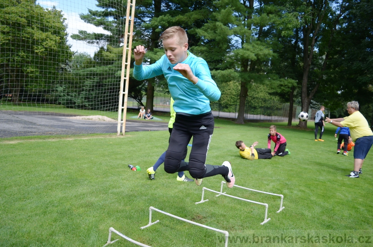 BFŠJCH - Léto 2016 - 29.7.2016