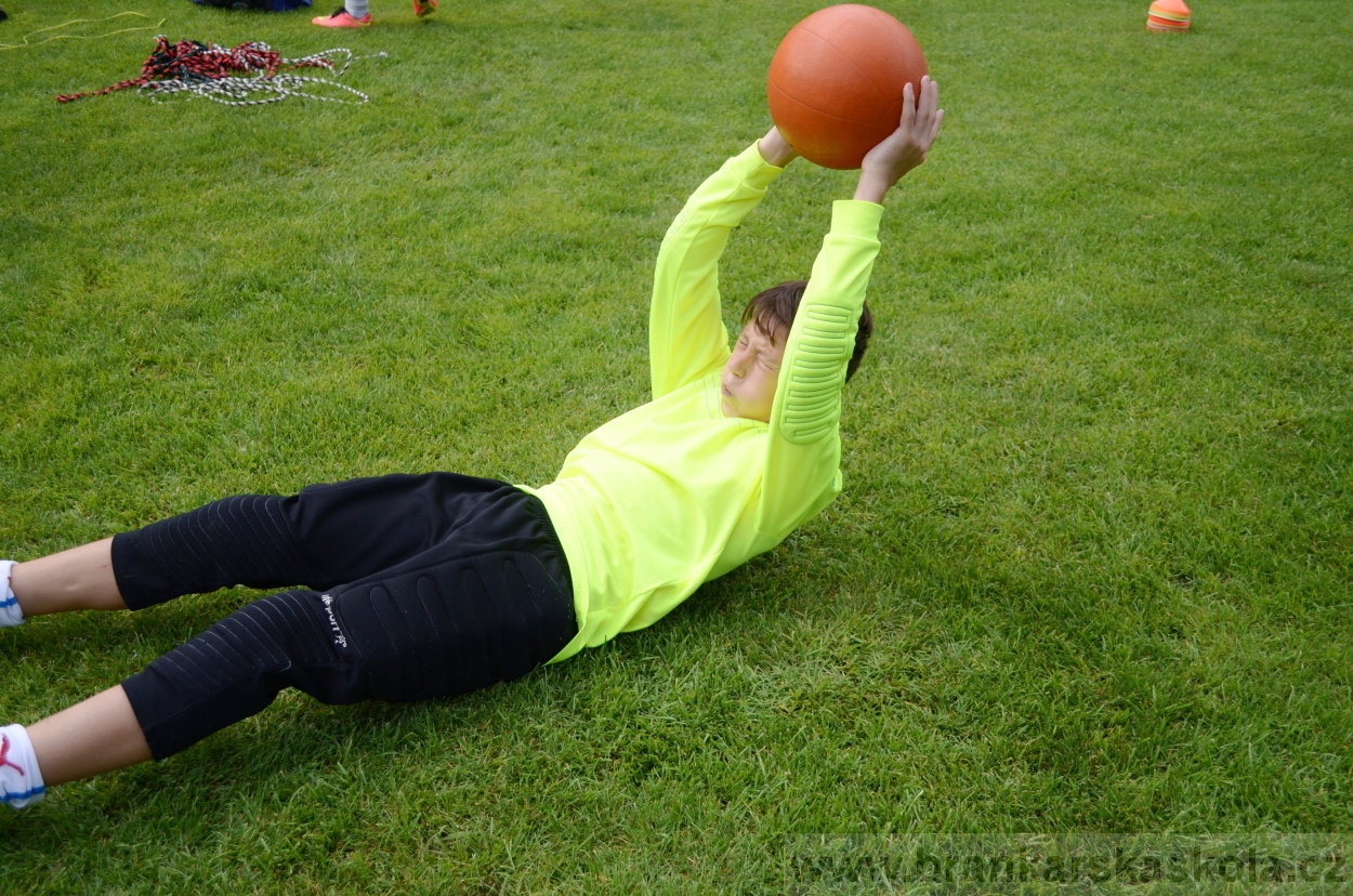 BFŠJCH - Léto 2016 - 29.7.2016