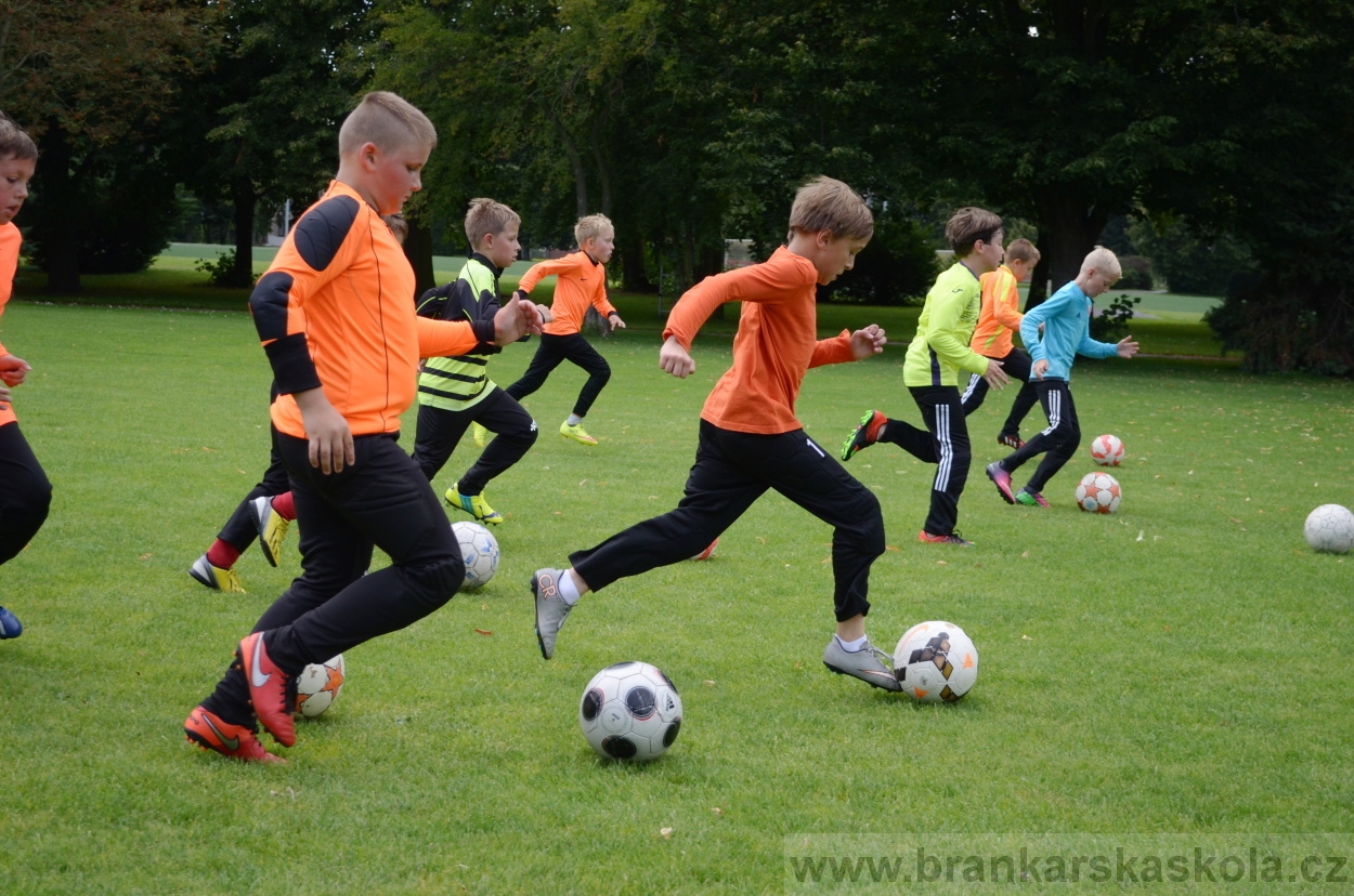 BFŠJCH - Léto 2016 - 29.7.2016