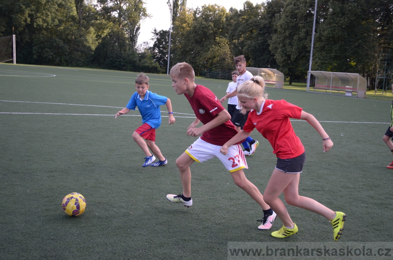 BFŠJCH - Léto 2016 - 29.7.2016