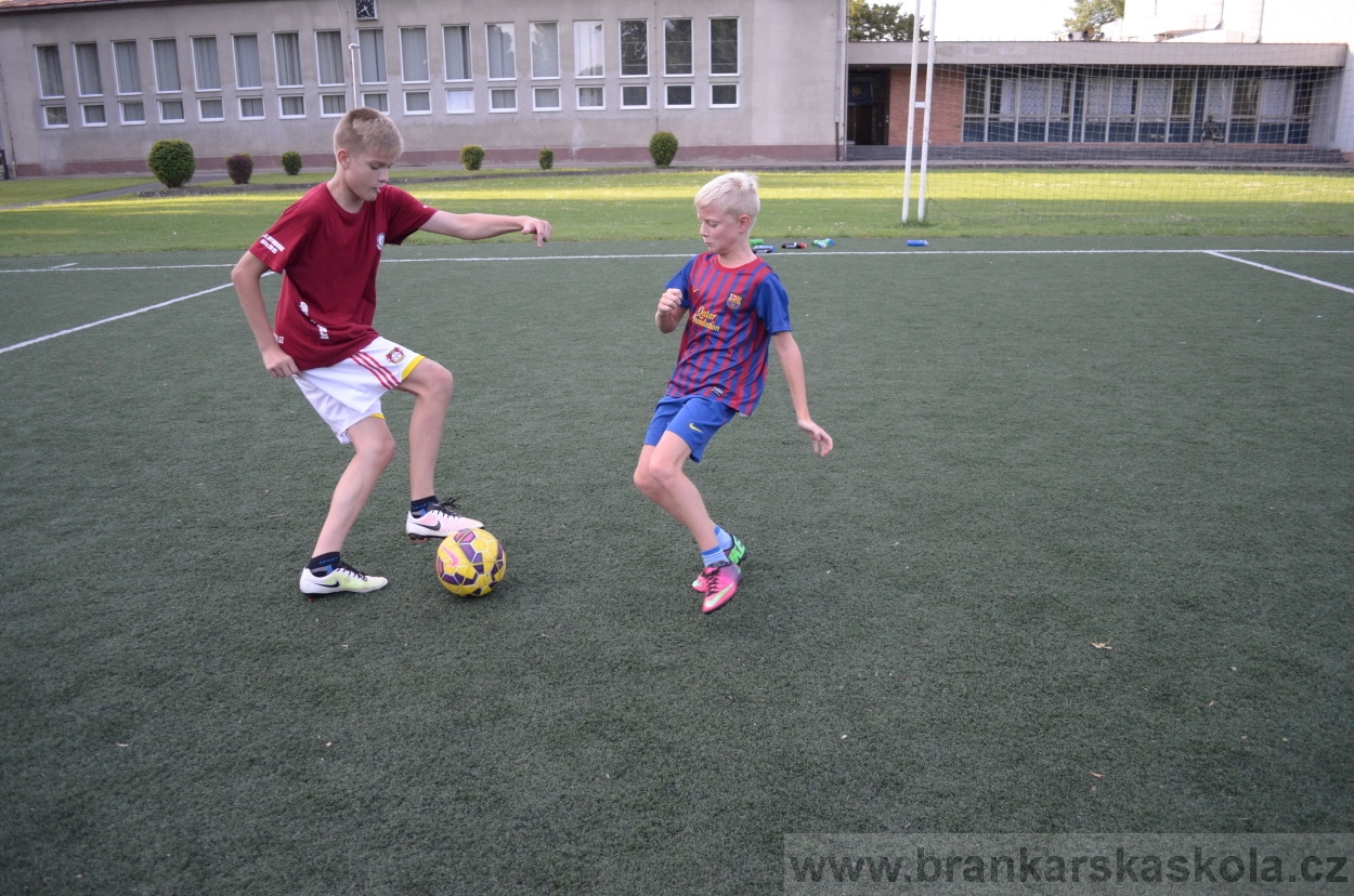 BFŠJCH - Léto 2016 - 29.7.2016