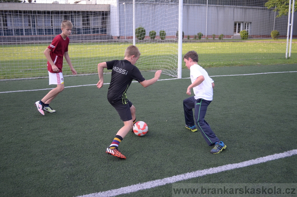 BFŠJCH - Léto 2016 - 29.7.2016