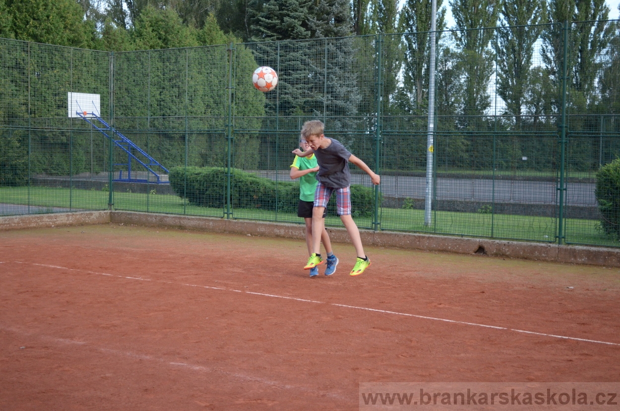 BFŠJCH - Léto 2016 - 29.7.2016