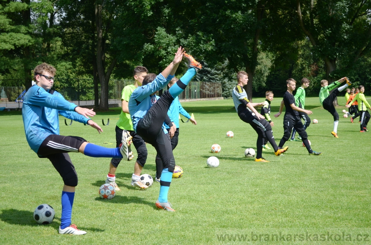 BFŠJCH - Léto 2016 - 29.7.2016