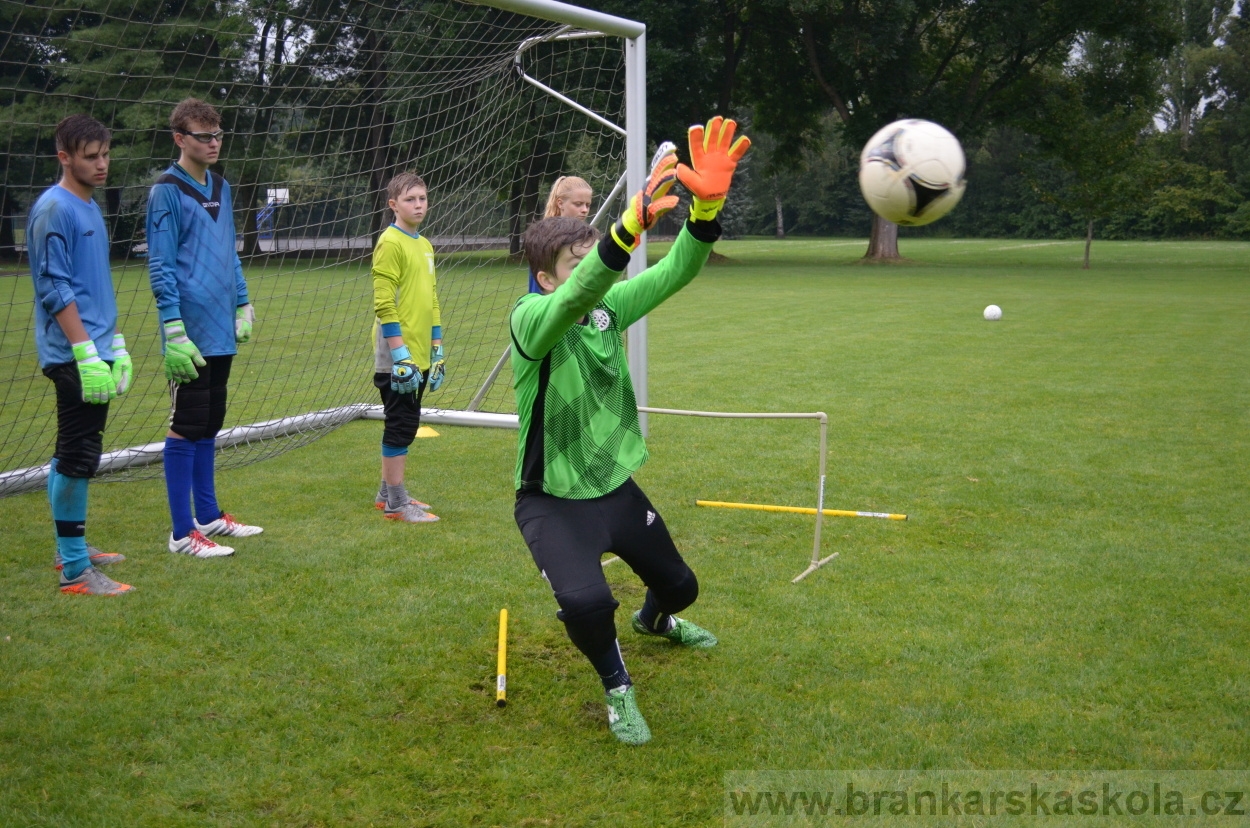 BFŠJCH - Léto 2016 - 31.7.2016