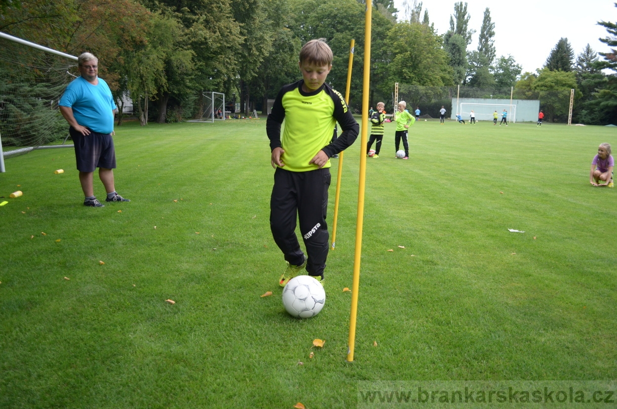 BFŠJCH - Léto 2016 - 31.7.2016