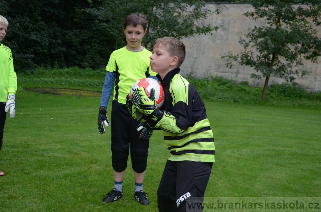 BFŠJCH - Léto 2016 - 31.7.2016