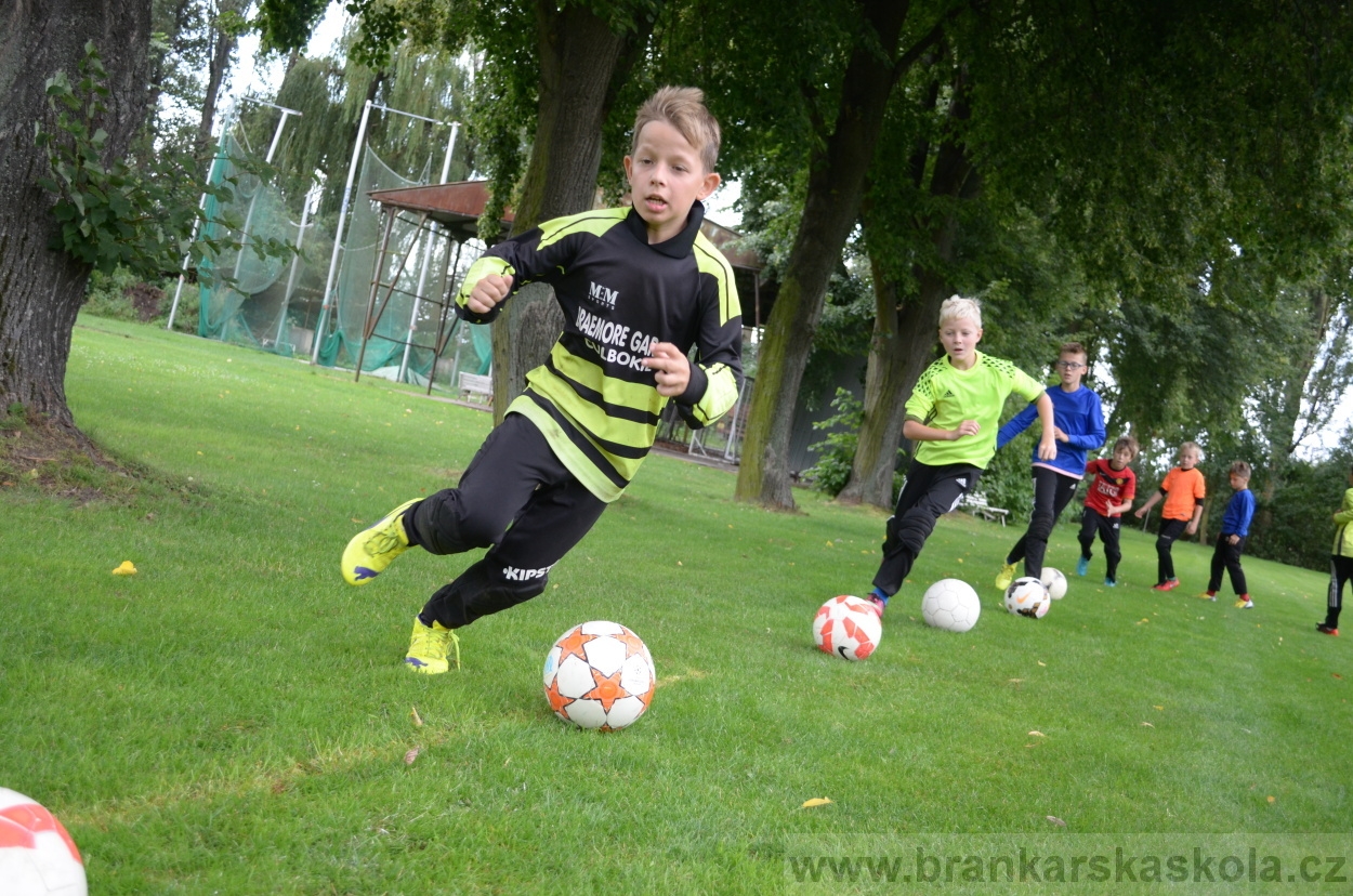 BFŠJCH - Léto 2016 - 1.8.2016