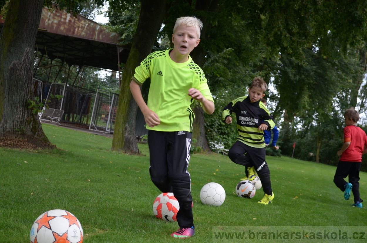 BFŠJCH - Léto 2016 - 1.8.2016