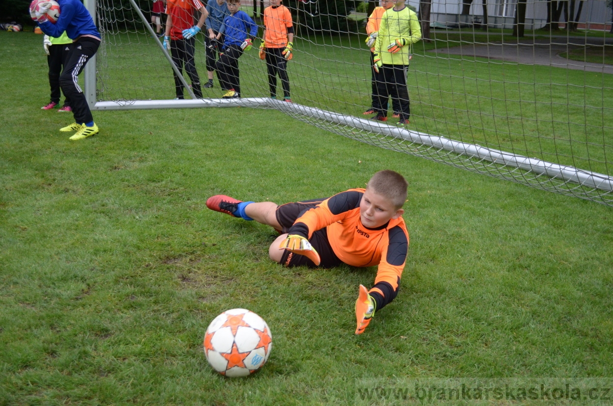 BFŠJCH - Léto 2016 - 1.8.2016