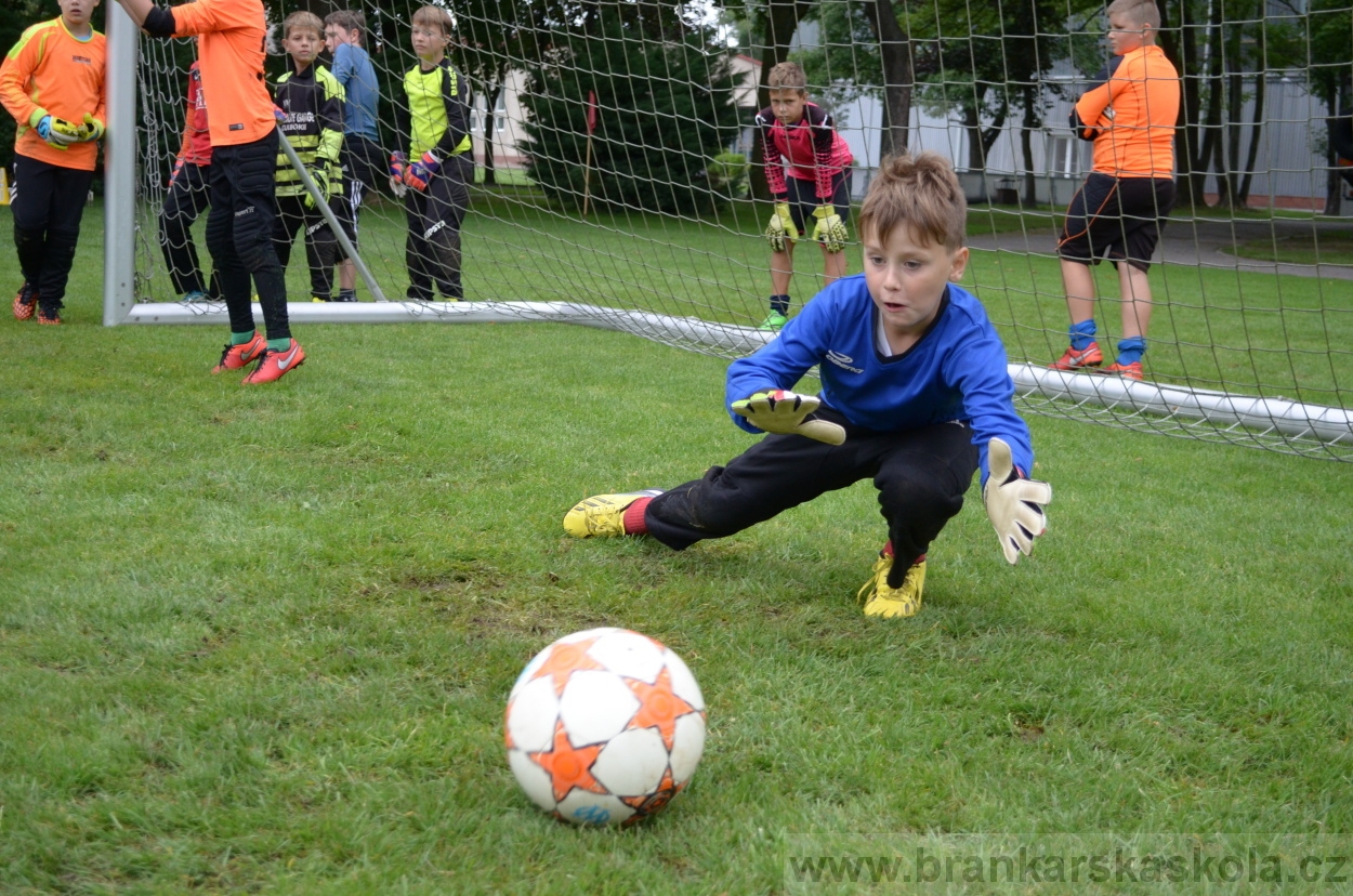 BFŠJCH - Léto 2016 - 1.8.2016