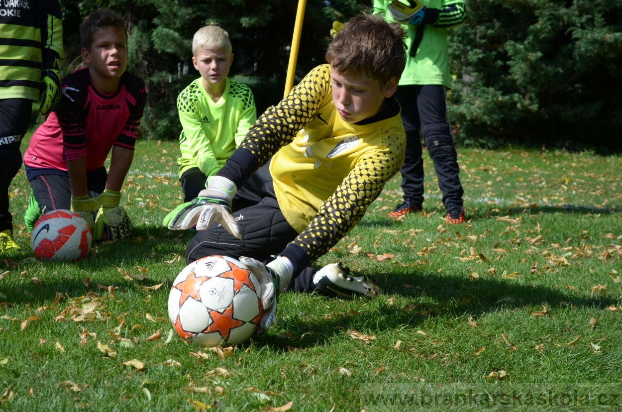 BFŠJCH - Léto 2016 - 2.8.2016
