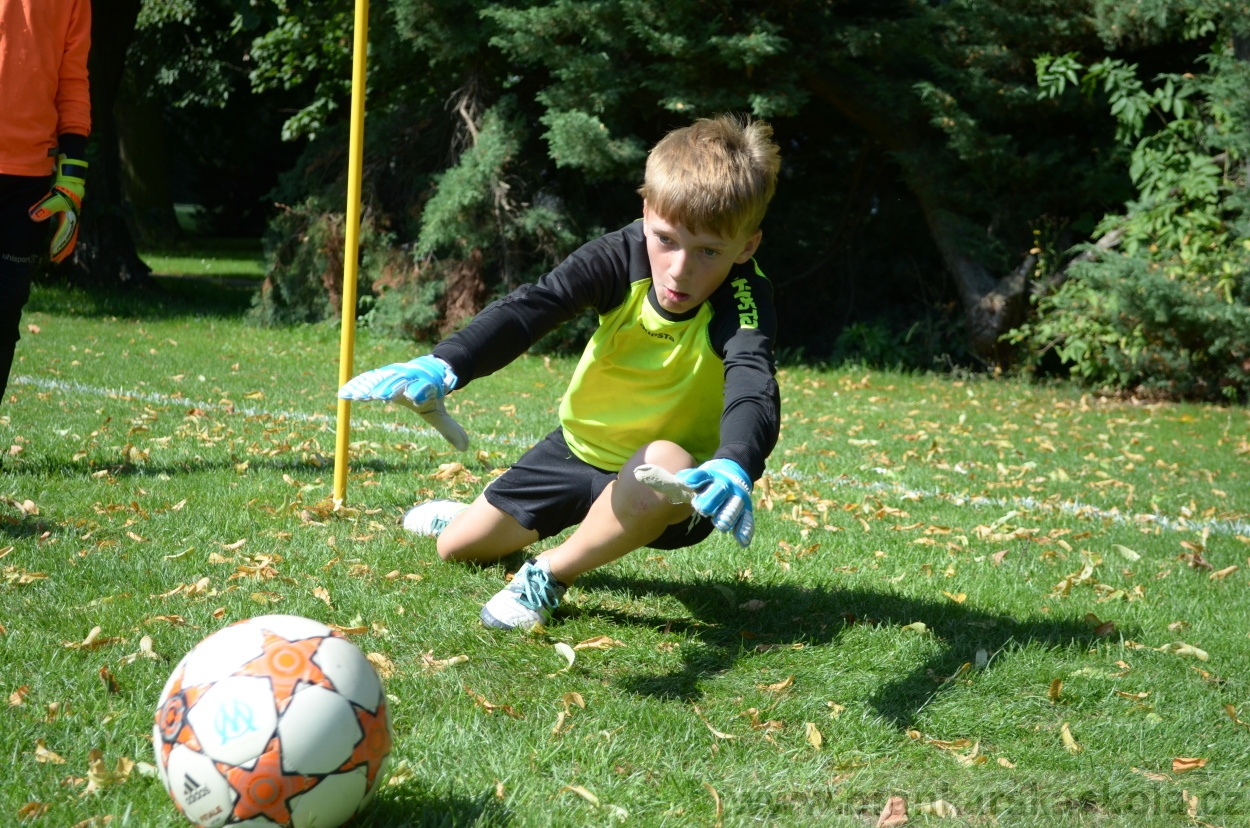 BFŠJCH - Léto 2016 - 2.8.2016