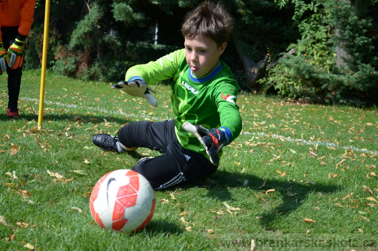 BFŠJCH - Léto 2016 - 2.8.2016