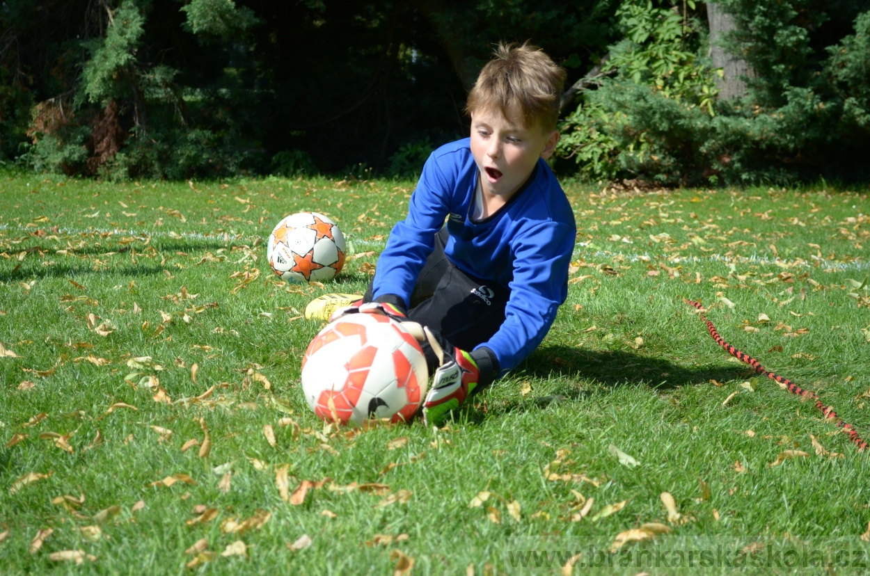 BFŠJCH - Léto 2016 - 2.8.2016