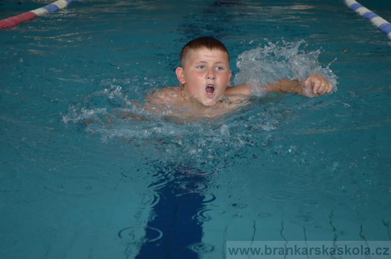 BFŠJCH - Léto 2016 - 2.8.2016