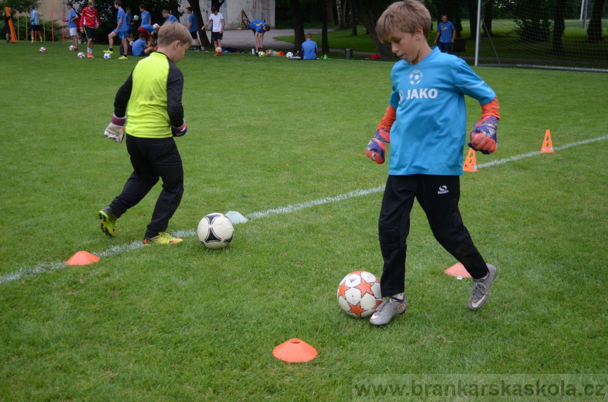 BFŠJCH - Léto 2016 - 2.8.2016
