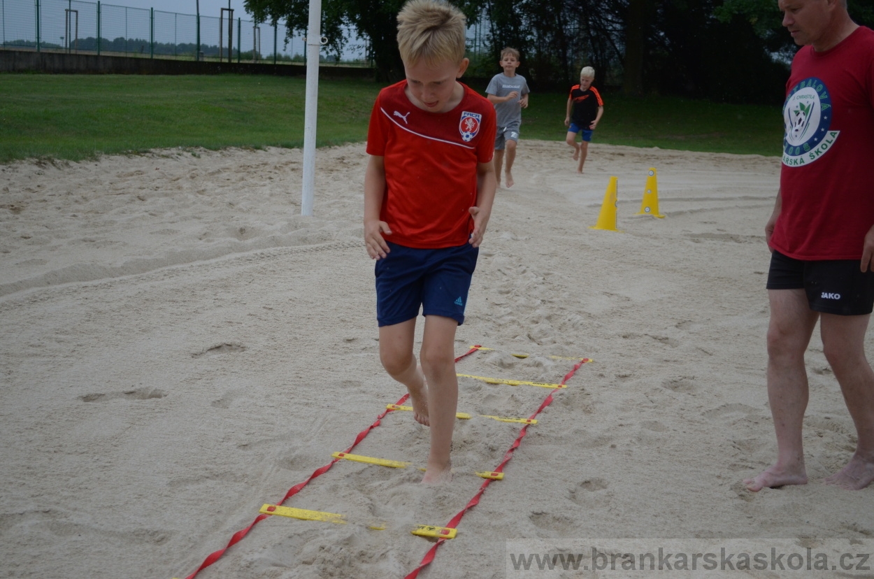 BFŠJCH - Léto 2016 - 2.8.2016