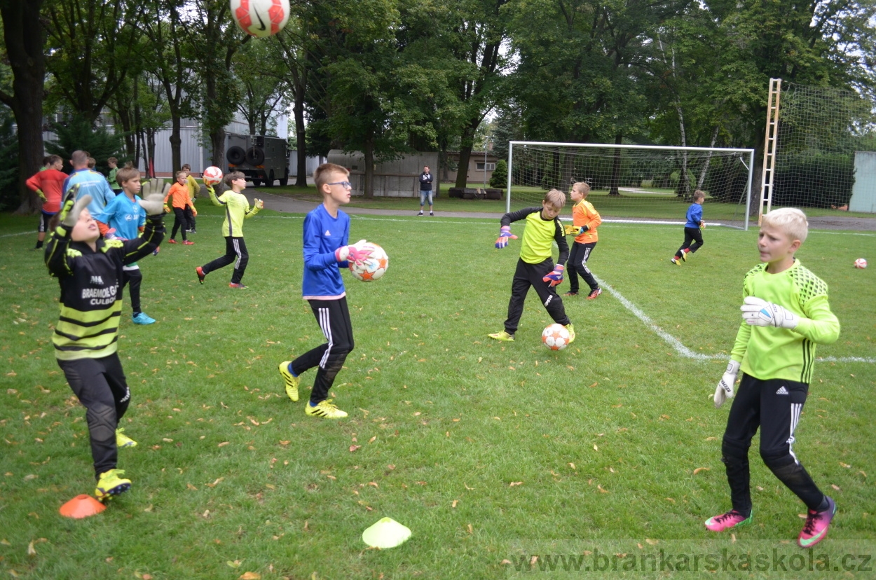 BFŠJCH - Léto 2016 - 3.8.2016