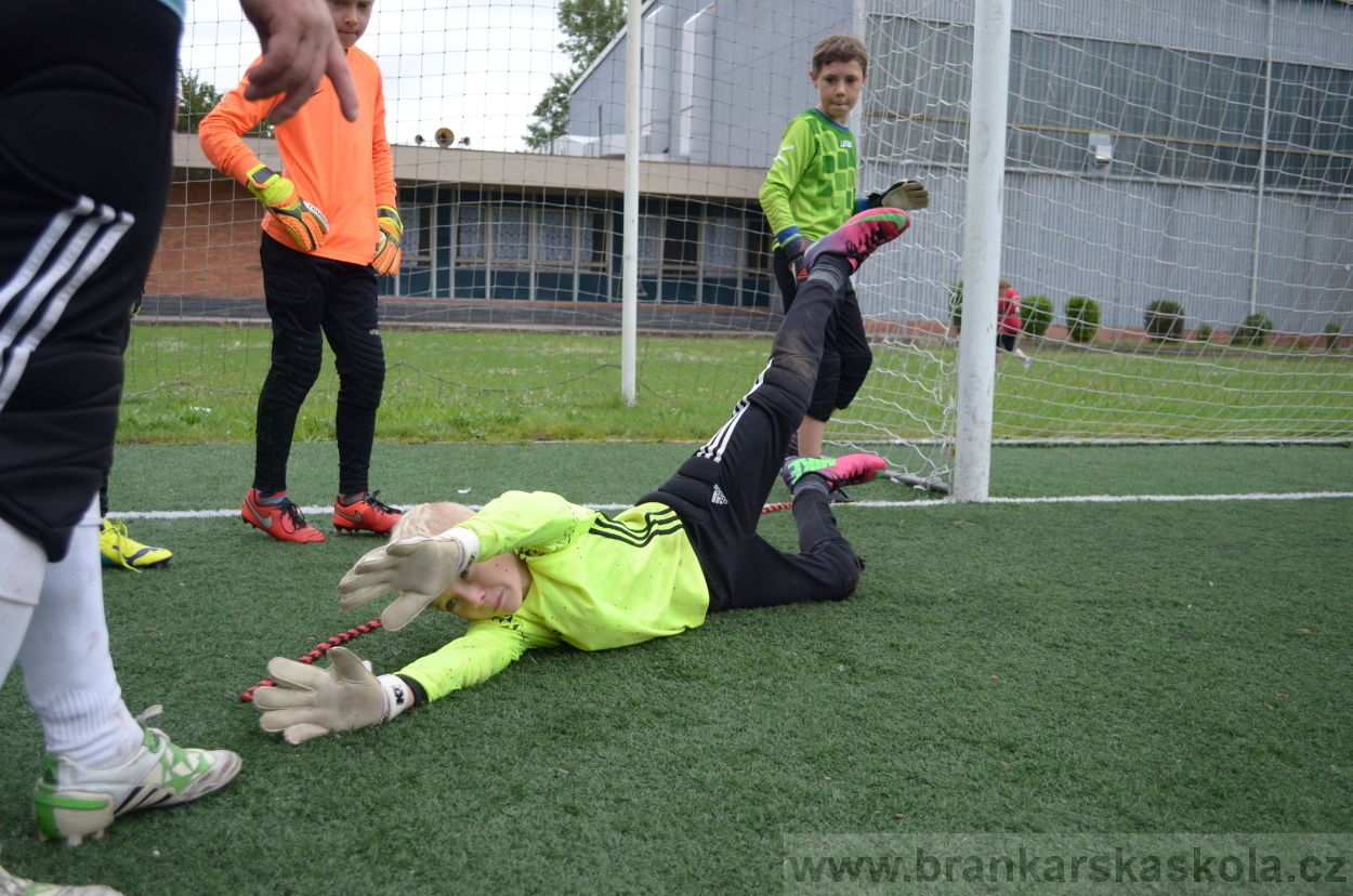 BFŠJCH - Léto 2016 - 3.8.2016