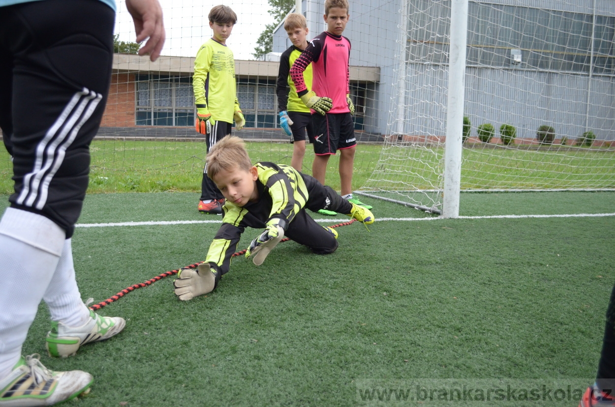 BFŠJCH - Léto 2016 - 3.8.2016