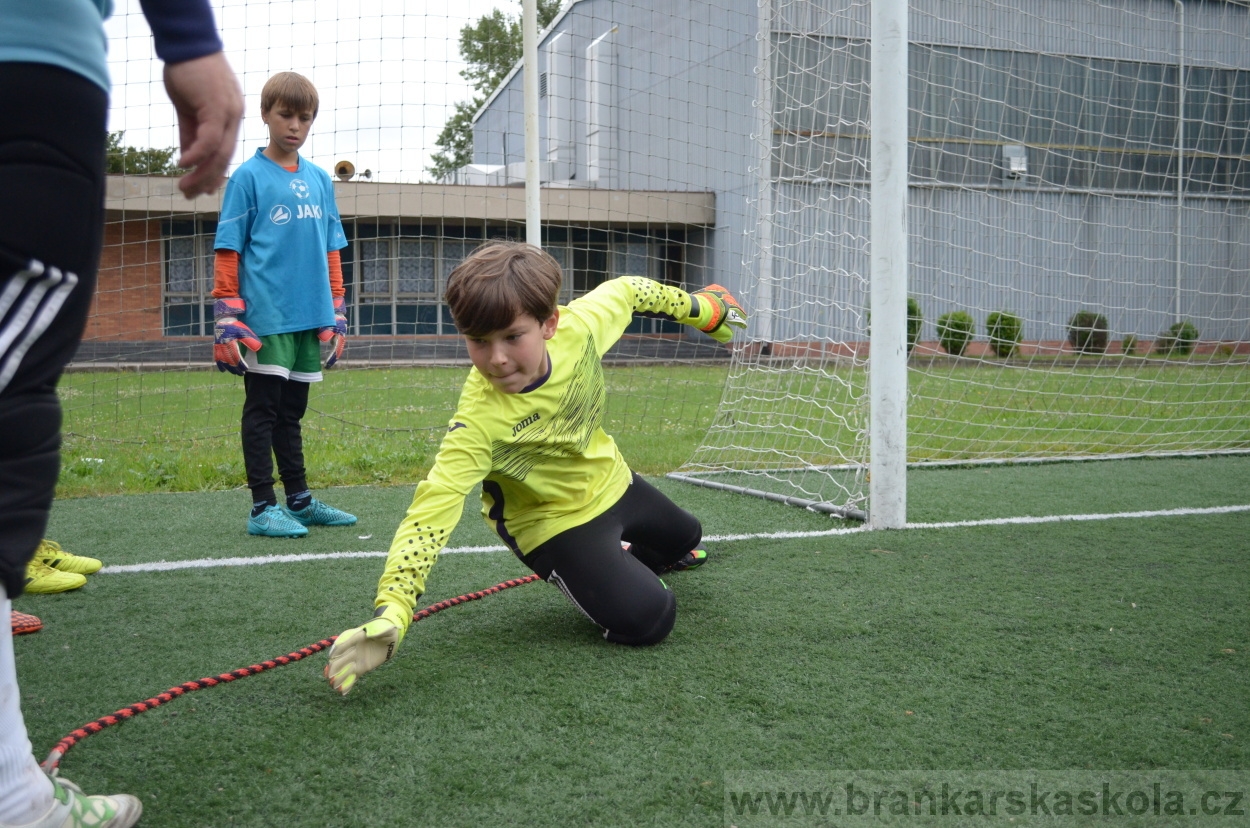 BFŠJCH - Léto 2016 - 3.8.2016