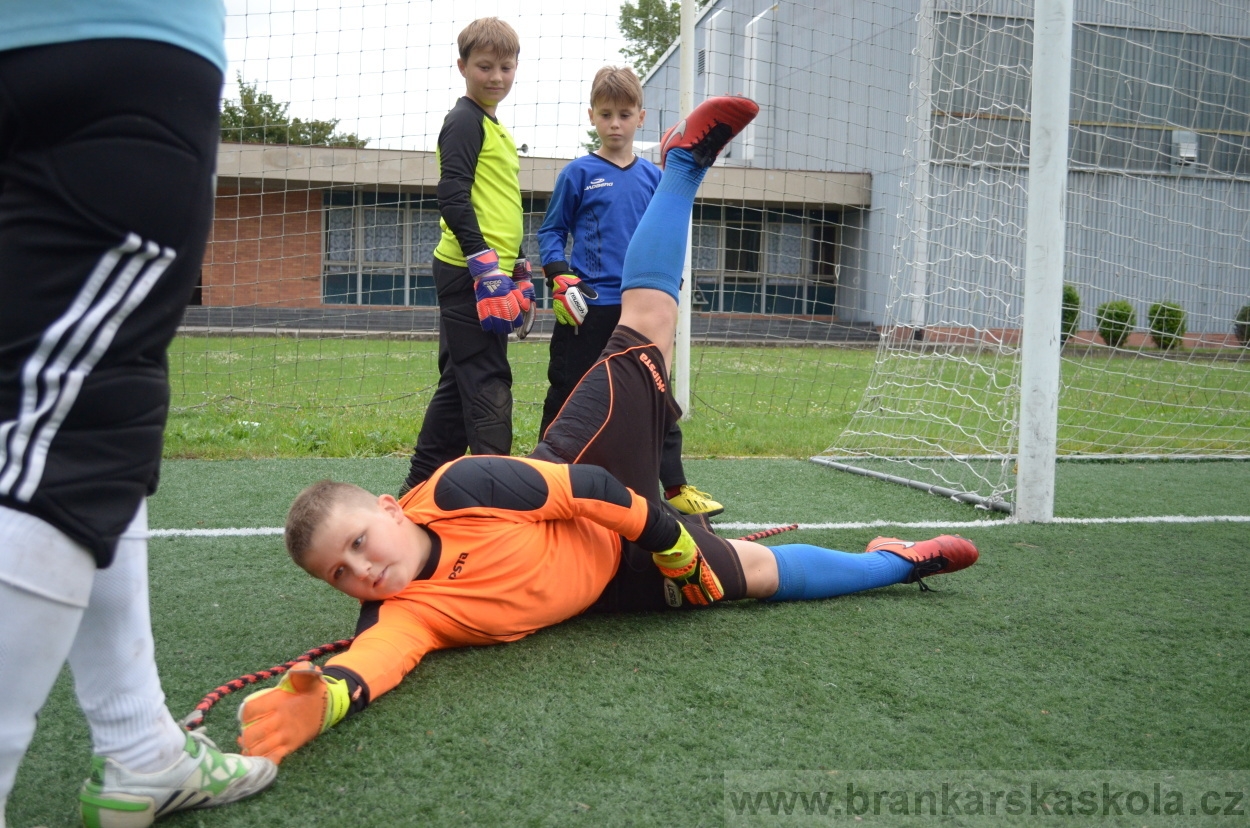 BFŠJCH - Léto 2016 - 3.8.2016