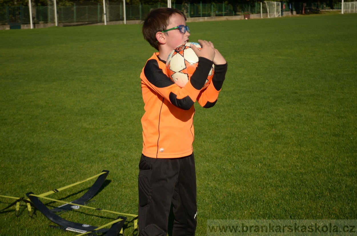 BFŠJCH - Léto 2016 - 25.8.2016