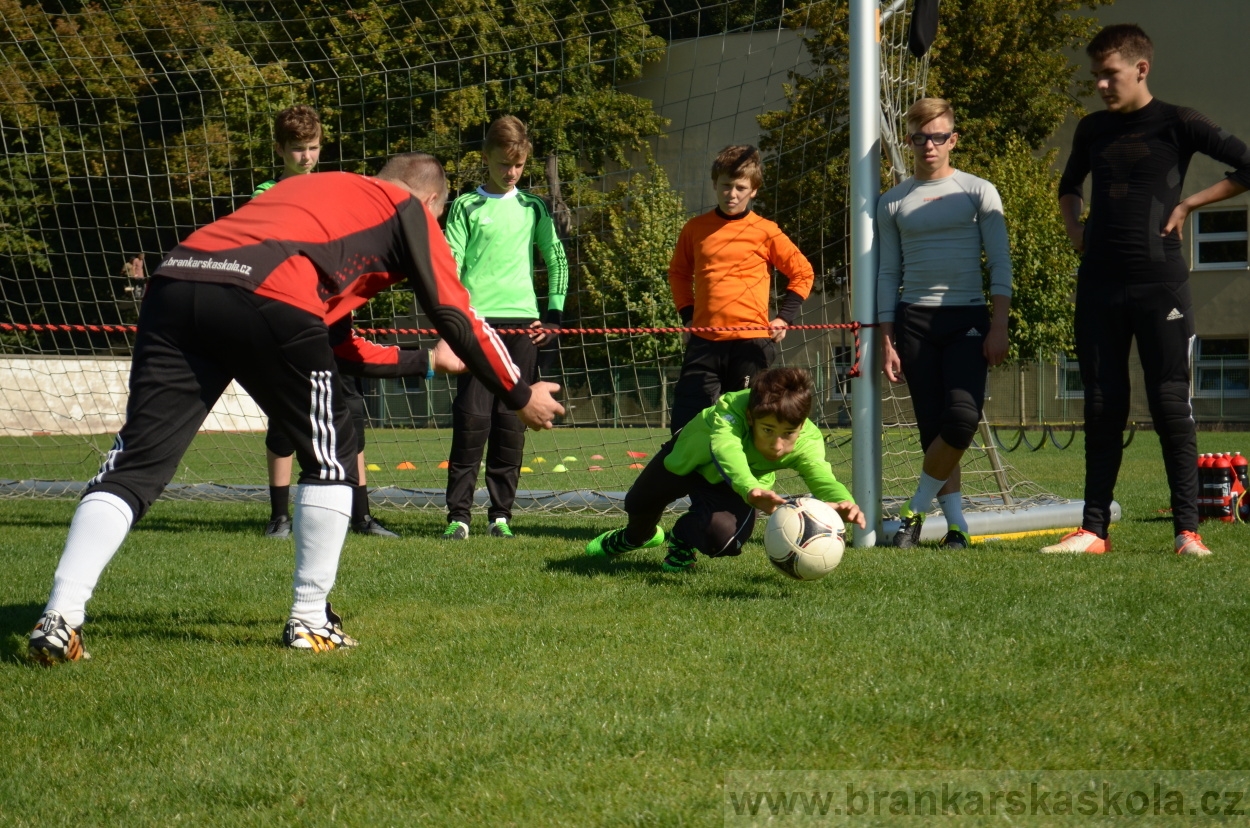 BFŠJCH - Léto 2016 - 26.8.2016