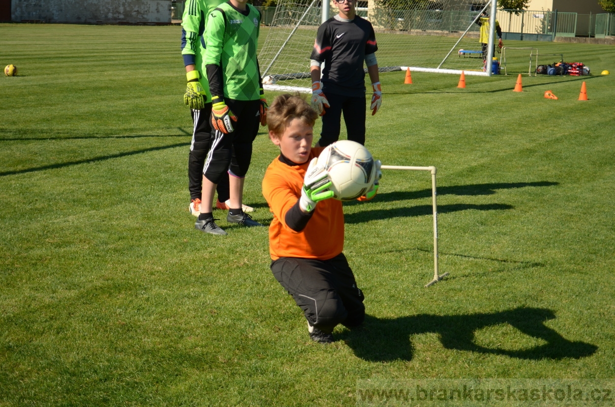 BFŠJCH - Léto 2016 - 26.8.2016