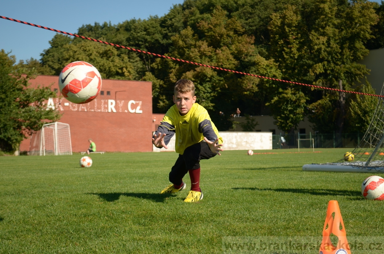 BFŠJCH - Léto 2016 - 27.8.2016