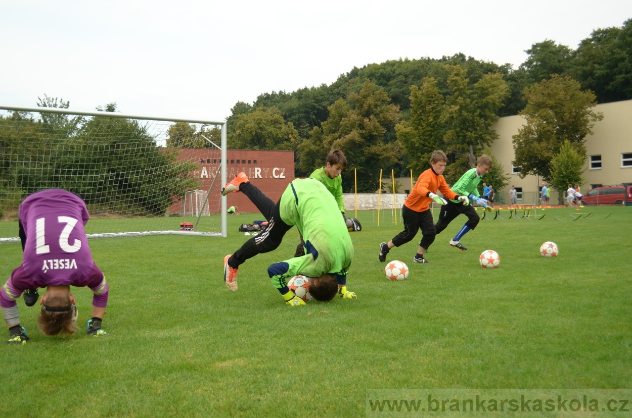 BFŠJCH - Léto 2016 - 29.8.2016